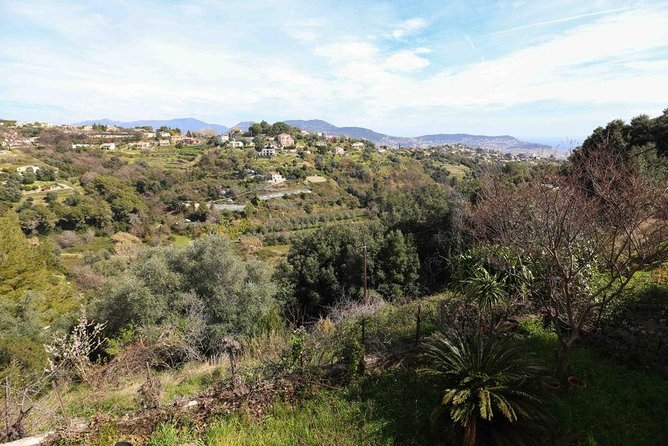 3-Course Organic Dinner in Garden with Views of French Riviera - Group Size: Small Enough for Real Conversation