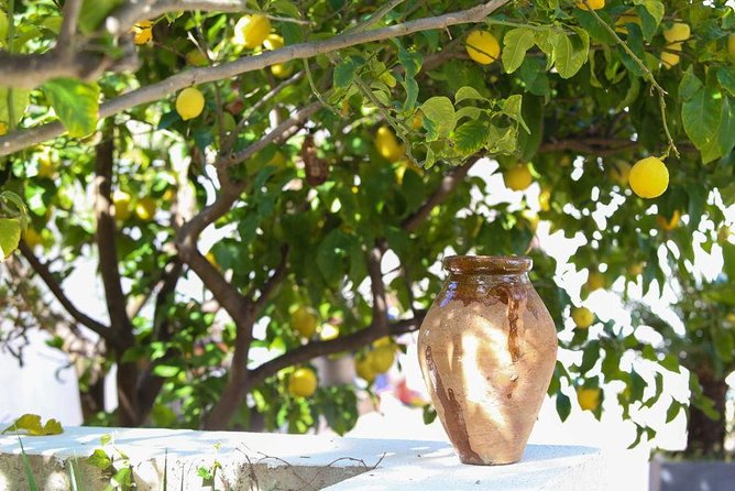 3-Course Organic Dinner in Garden with Views of French Riviera - Price and Value: Does $114.03 Make Sense Here?