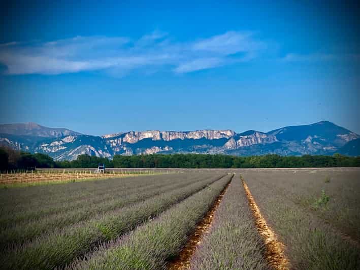 Bespoke Luxury Sightseeing Experiences - Glamour Tour: Cannes to St Tropez With Ferry Time and Pampelonne Beach