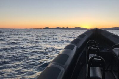 Boat Excursion - Nice/St Jean Cap Ferrat 1H30 - Saint-Jean-Cap-Ferrat From the Water: Villas, Pines, and Coves