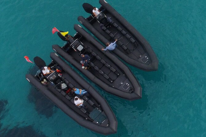 Boat Excursion - Nice/St Jean Cap Ferrat 1H30 - Getting On Board: Meeting Point and Timing That Actually Matters