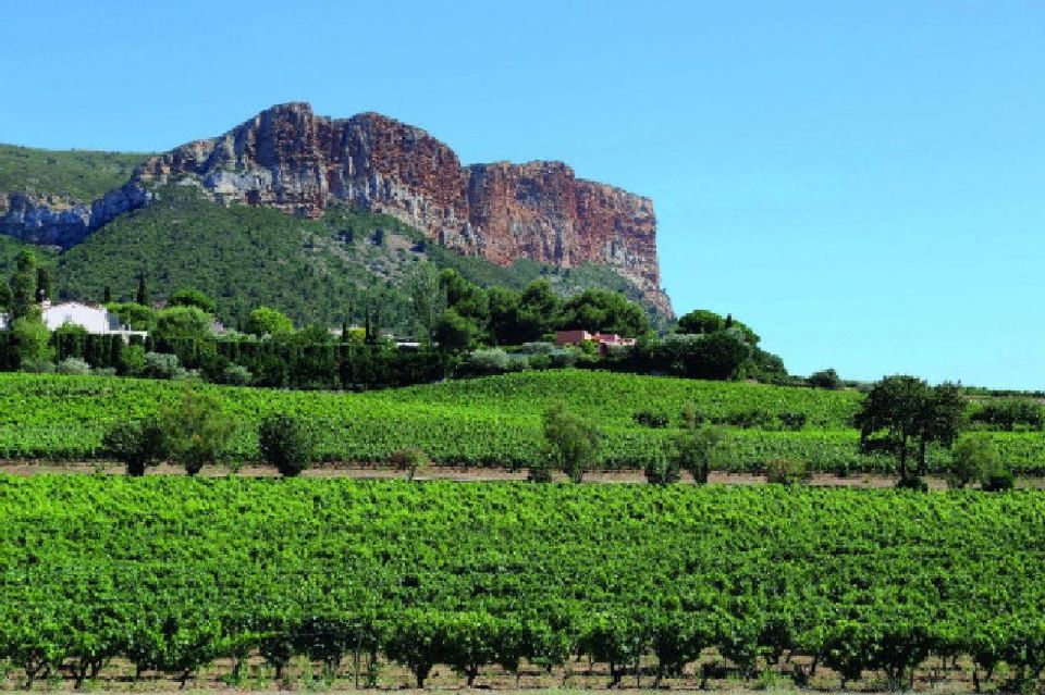 Calanques of Cassis, Aix-en-Provence & Wine Tasting Day Tour - From Aix Fountains to Calanques: Why This Pairing Makes Sense