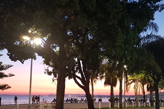 CANNES Shore Excursion: French Riviera Highlights with your Guide - Monaco first: how the day’s pacing works