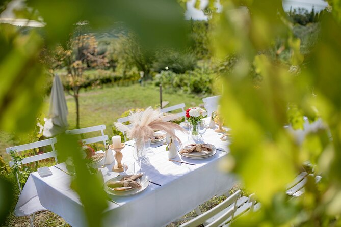 Dinner in the vineyard French Riviera - Live music and the arts extras: when the atmosphere clicks