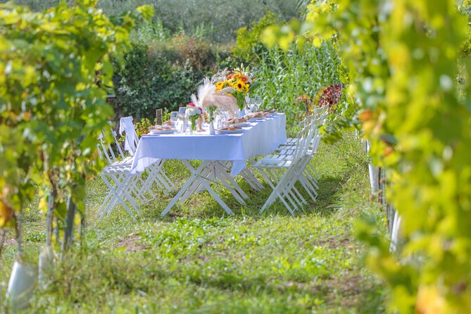 Dinner in the vineyard French Riviera - Getting there and the big logistics choice: transport is on you