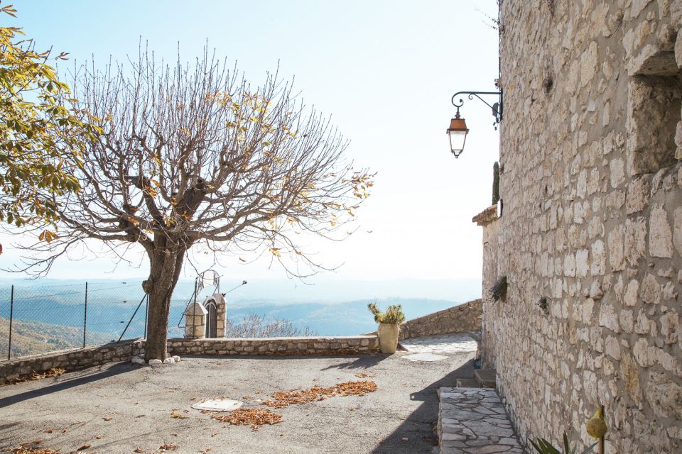 French Riviera and Provence Private Day Trip - Food, timing, and what to budget for
