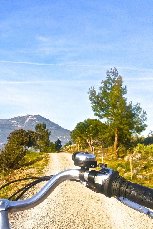 French Riviera Grand panoramic E-bike Tour From Nice - Where the Tour Starts: Nice Harbour and Bicicletta Shop concept
