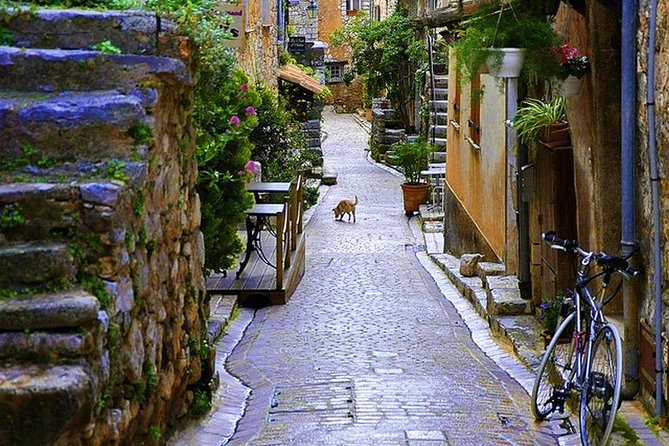 French Riviera & Medieval Villages Full-Day Private Tour - A One-Day Loop From Grasse to Saint-Paul-de-Vence