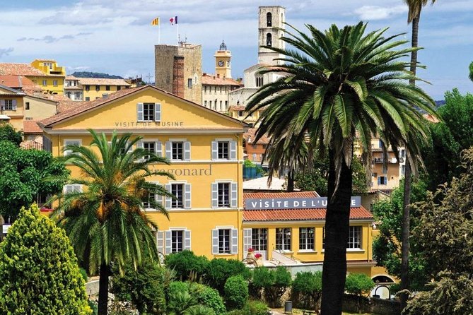 French Riviera & Medieval Villages Full-Day Private Tour - Antibes: Market Energy, Seafront Views, and Old Town Strolls