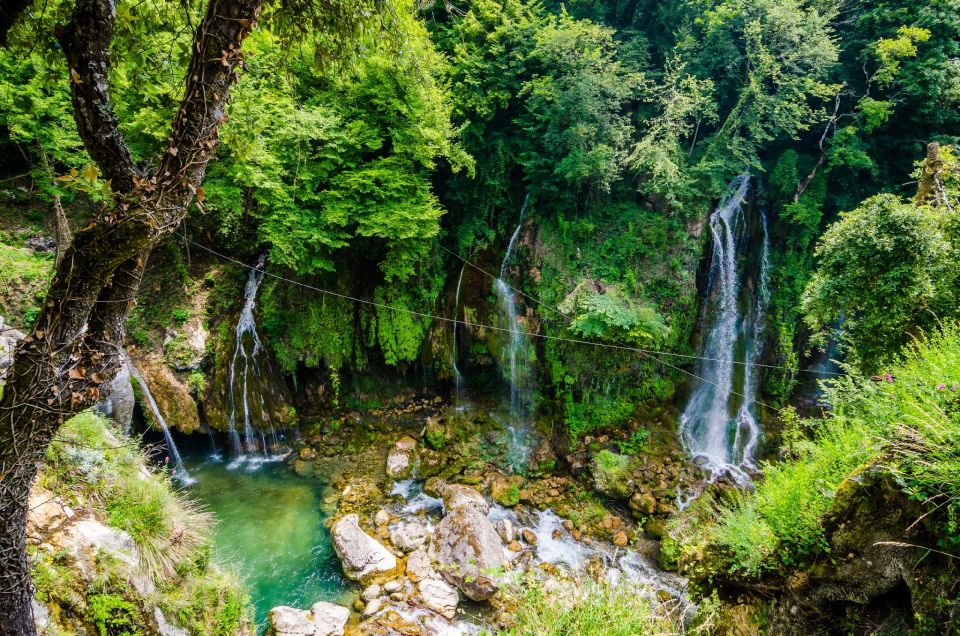 From Nice: Flower Fields & Saint Cassien Lake Full-Day Trip - Lavanderaie de Marie: a scent walk with panoramic rewards