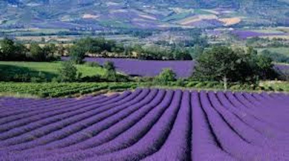 From Nice: Full-Day Provence and Lavender Tour - Moustiers-Sainte-Marie: Fountains, Ramparts, and the Aqueduct Vibe