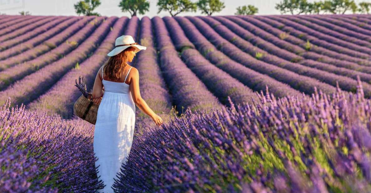 From Nice: Full-Day Provence and Lavender Tour - Who This Tour Suits Best
