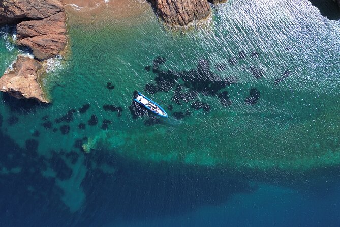 From Nice : Lerins Islands Boat Excursion with Snorkeling - Price and timing: is $120.41 worth it?
