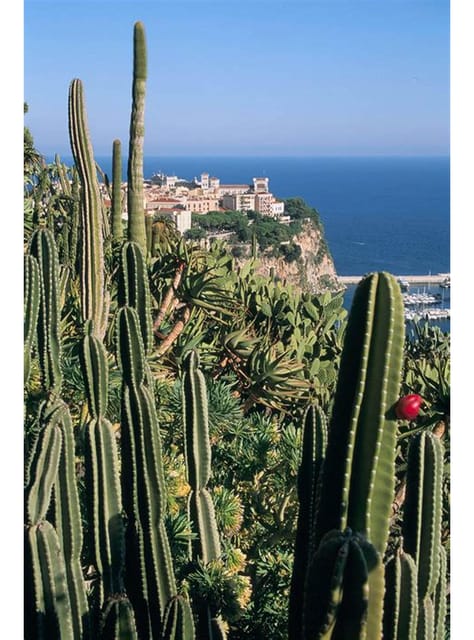 From Nice: Monaco, Monte Carlo & Eze Full-Day Tour - The day begins with panoramic orientation from Nice