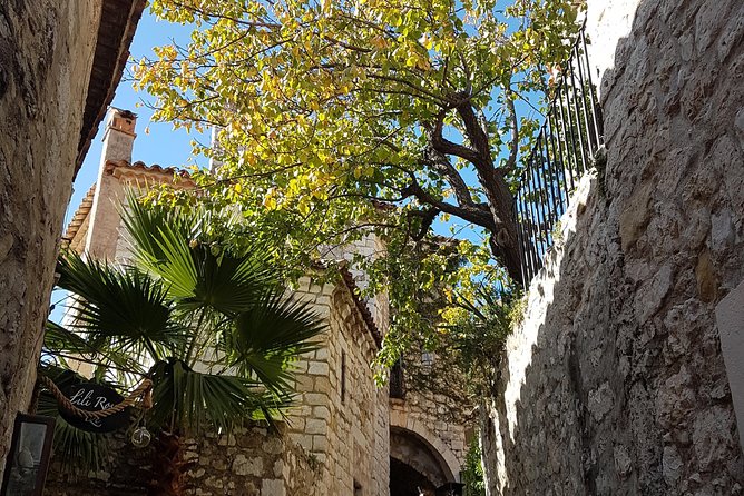 Full Day Private Custom French Riviera Tour from Nice - Where this tour fits best (and where it might not)