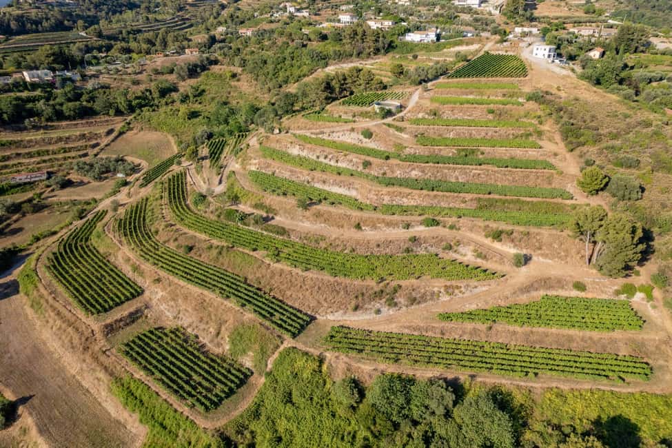 Full-Day Wine Tour in Bellet & Saint-Paul de Vence From Nice - Bellet + Saint-Paul de Vence: why this wine day works