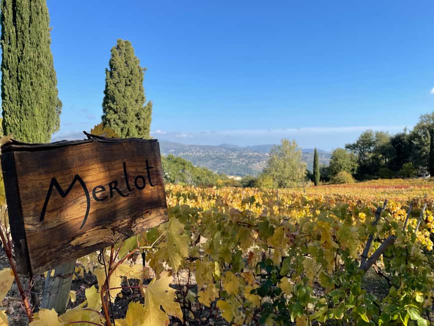 Full-Day Wine Tour in Bellet & Saint-Paul de Vence From Nice - Stop 1: first winery tasting and the basics you’ll use all day
