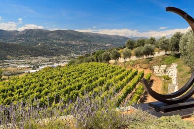 Full-Day Wine Tour in Bellet & Saint-Paul de Vence From Nice - Getting started in Nice: meeting point and the ride south
