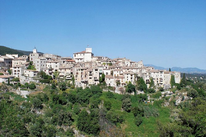 Monaco and Perched Medieval Villages - private & Guided Tour - Grasse and Fragonard perfume: choose culture or old-town breathing room