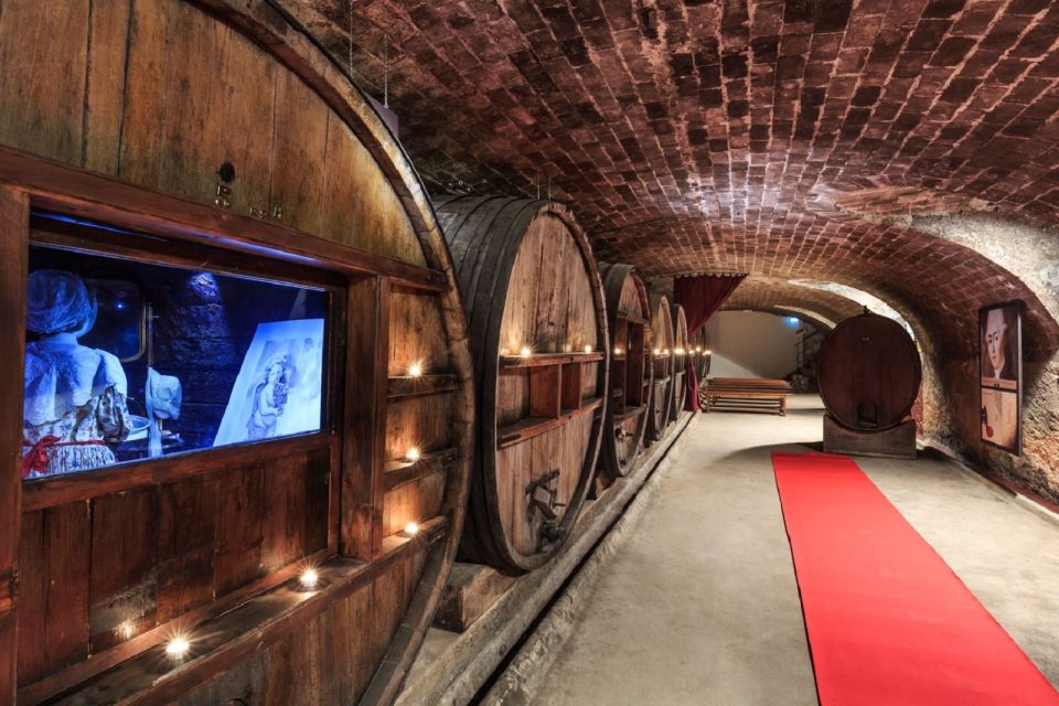 Nice: Full-Day Côtes de Provence Wine Tour - From Nice to Côtes de Provence: the day starts with comfortable wheels