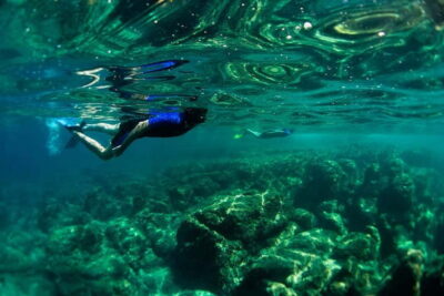 Nice: Snorkeling Speedboat Tour in Villefranche Bay - Meeting at Chango Diving in Nice (Quai des Docks) and getting geared up