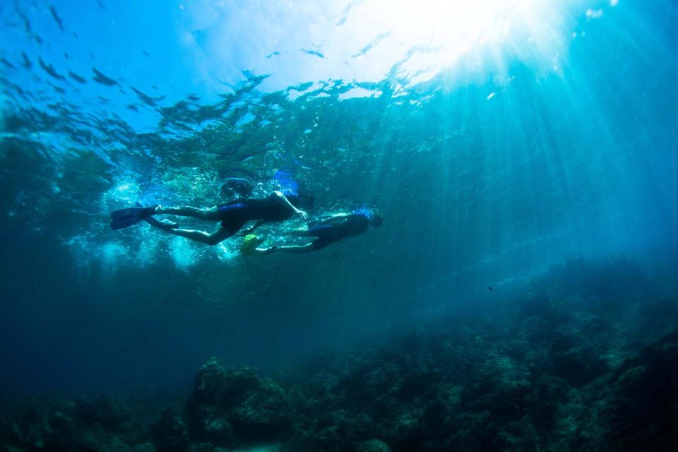 Nice: Snorkeling Speedboat Tour in Villefranche Bay - Villefranche-sur-Mer snorkeling: one hour to swim, look, and spot wildlife