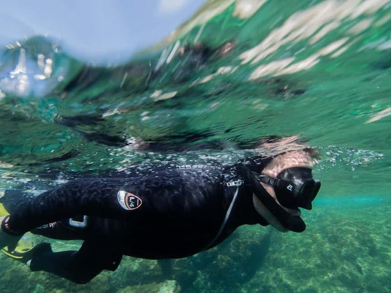 Nice: Snorkeling Speedboat Tour in Villefranche Bay - Price and value: what $68 buys in real time on the water
