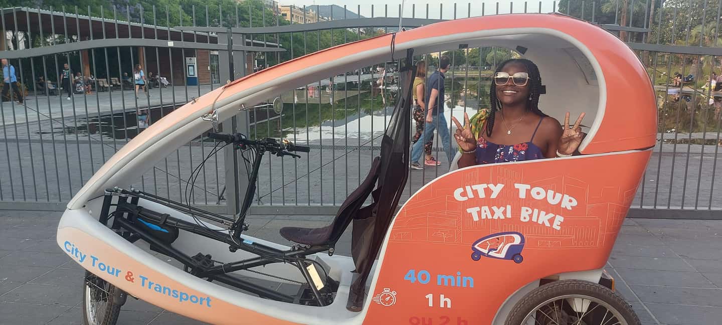 Nice : Visite privé 1H en Vélotaxi avec un guide local. - Price and value: is $74 per person reasonable?