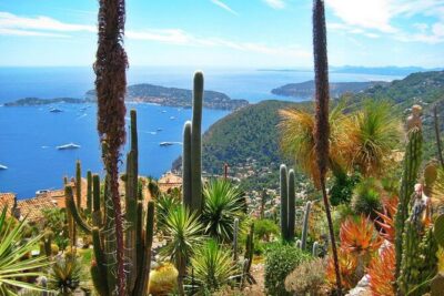 Private Customized French Riviera Tour from Port Villefranche 8H - Cannes in One Hour: Red-Carpet Energy Without the Overkill
