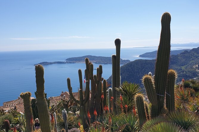 Private Day Trip Italian Riviera - Why a Private Italian Riviera Day Trip Works Better From Nice