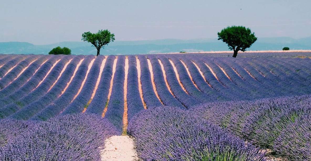 Private Day Trip to Provence and Lavender Fields - Sainte-Maximin to Aix: the morning setup for a perfect Provence day