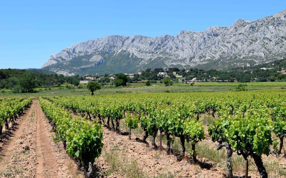 Private Day Trip to Provence and Lavender Fields - Planning tips before you go (so the day feels smooth)