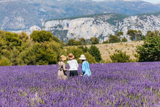 Private Tour of Gorges of Verdon and Fields of Lavender in Nice - Private guide performance: what you should expect from the car to the viewpoints