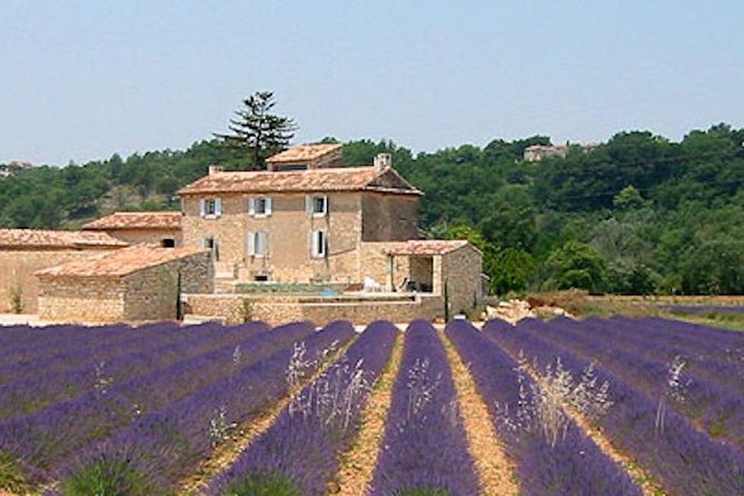 Provence and Lavender - private & Guided Full Day Tour - Key things that make this day work