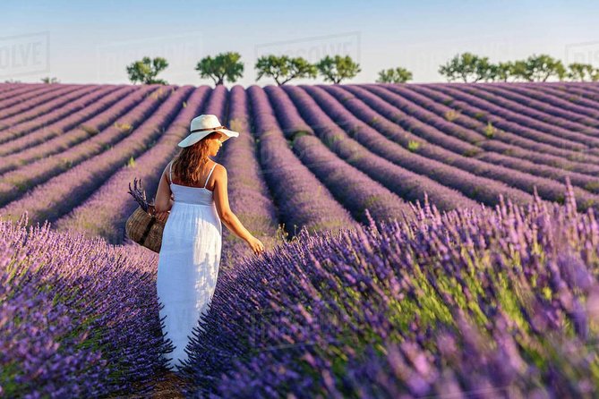 Provence and Lavender - private & Guided Full Day Tour - What You’re Really Buying: Private Verdon, Lavender, and Moustiers
