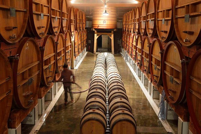 Provence Private Full Day Wine Tour with Wine Tasting - Why This Private Provence Wine Day Works from Nice