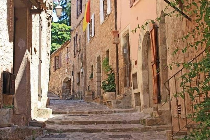 Provence Private Full Day Wine Tour with Wine Tasting - Price and logistics: does it make sense for your group?