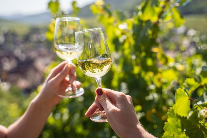 Provence, Vineyards and Lavender Fields Private Day Trip - What Makes This Private Day Trip Actually Work