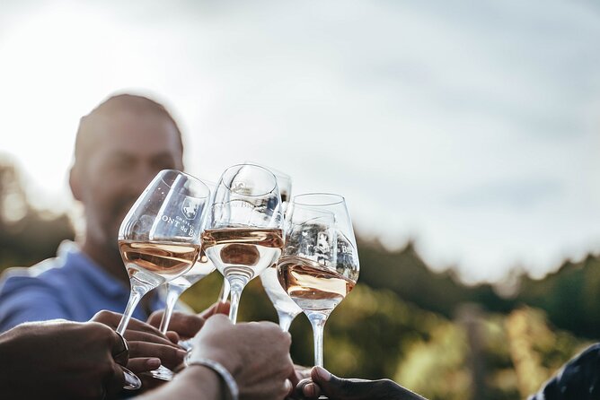 Provence Wine Tour - Private Day Tour from Antibes - Setting Off From Antibes: Pickup, Timing, and a Day That Actually Works
