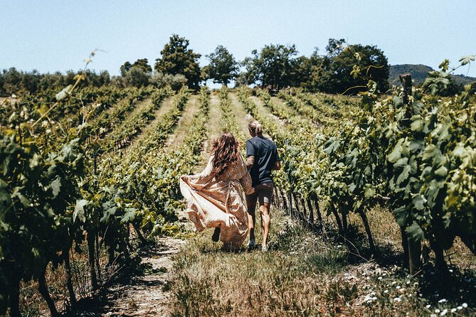 Provence Wine Tour - Small Group Tour from Cannes - Pacing, Group Size, and Your Day From 9:30 to Return