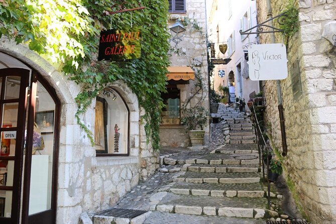 Taste of Provence, Countryside Villages - Half Day Private Tour - Price and Logistics: Is $453.79 Worth It?