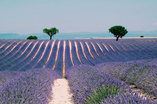 Verdon Gorge: The Grand canyon of Europe, Lake and Lavender - Lac de Sainte-Croix: lakeside time if conditions and timing allow