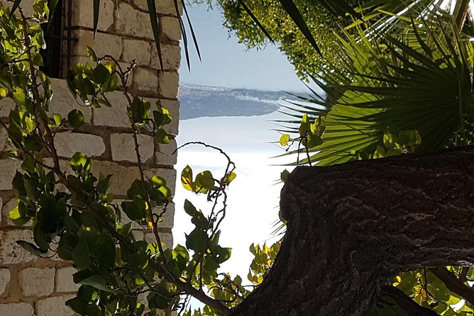Villefranche Shore Excursion: 6 hrs Private Tour Eze and Monaco - Transportation Comfort and Timing on a 6-Hour Schedule