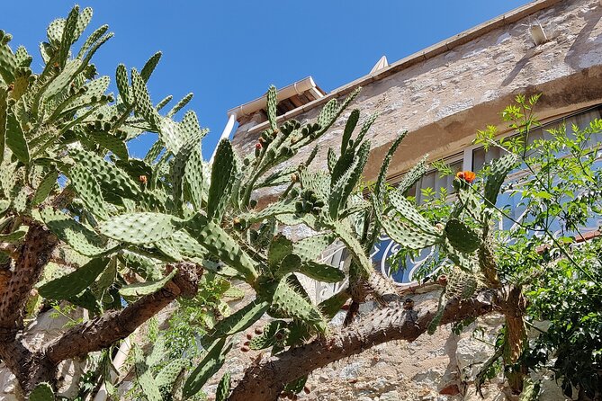 Visit of the Medieval Village of Èze - Jardin Exotique d’Èze: skip the line, then enjoy 400+ plants