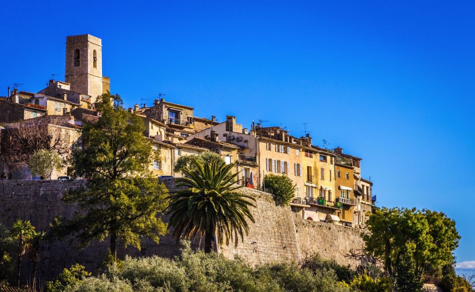 West Coast and Country Side full day Tour - Tourrettes-sur-Loup: violets, quick photos, and a taste of hill-town charm