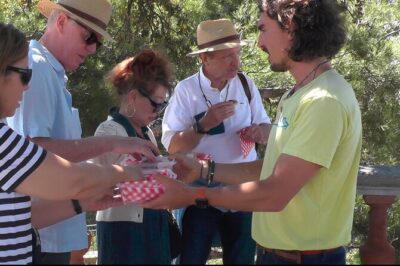 ★ Walking Tour of Old Nice and Castle Hill - Getting there: Fontaine du Soleil to Cours Saleya (the flavor warm-up)